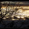 20140408_1537